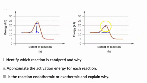 for-the-following-reaction-diagrams-2-1-15-2-1-extent-of-reaction-extent-of-reaction-identify-which-reaction-is-catalyzed-and-why-ii-approximate-the-activation-energy-for-each-reaction-iii-i-60725