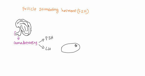 is-the-following-statement-true-or-false-follicle-stimulating-hormone-true-uterine-hormone-that-leads-to-endometrial-development-inanegg-producing-individual_-false-81987