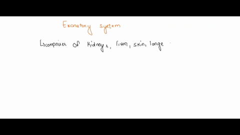 which-is-not-a-function-of-the-excretory-system-question-17-options-produces-glucose-maintains-water-salt-balance-maintains-acid-base-balance-removes-nitrogen-containing-wastes-secretes-horm-05148