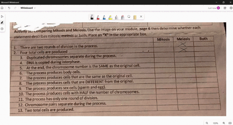activity-10-comparing-mitosis-and-meiosis-use-the-image-on-your-module-page-6-then-determine-whether-eachstatement-describes-mitosis-meiosis-or-both-place-an-x-in-the-appropriate-boxmitosis-69165