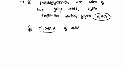 after-cxamine-thc-stnctures-of-the-fou-lipids-in-the-figure-below-answer-the-following-questions-nchsh-oh-nchsla-hc-chz-ch-nh-co-ch-c0-chzhz-r-ch-hz-h-0-c_c-glucose-oh-ho-oh-hc-ch-nh-chz-hc-45394