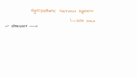question-33-1-pts-the-sympathetic-nervous-system-is-different-from-the-hpa-axis-because-the-sympathetic-nervous-system-involves-the-activation-of-neuroendocrine-cells-in-the-hypothalamus-b-i-73095