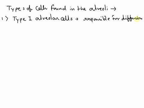 list-the-types-of-cells-found-in-the-alveoli-and-describe-their-functions-65094