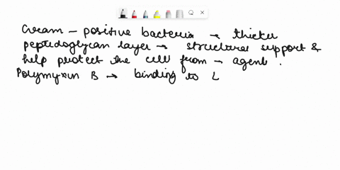 polymyxin-b-is-a-cationic-surface-agent-that-binds-to-the-lps-of-the-cell-which-results-in-increased-permeability-and-cell-death-gram-positive-bacteria-are-more-resistant-to-polymyxin-b-than-53737