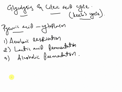 which-process-connects-glycolysis-and-the-citric-acid-cycle-41194