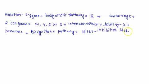 wild-type-bacteria-can-grow-on-minimal-medium_-five-mutants-are-isolated-that-cannot-grow-on-minimal-medium-but-can-grow-on-medium-supplemented-with-the-metabolite-x-it-believed-that-the-met-58416