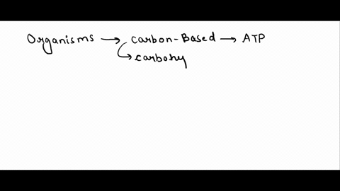 how-can-some-organisms-survive-without-sunlight-and-photosynthesis-35014