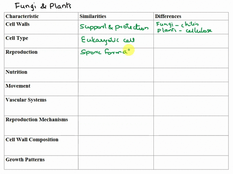 similarities-and-differences-between-fungi-and-plants-29366