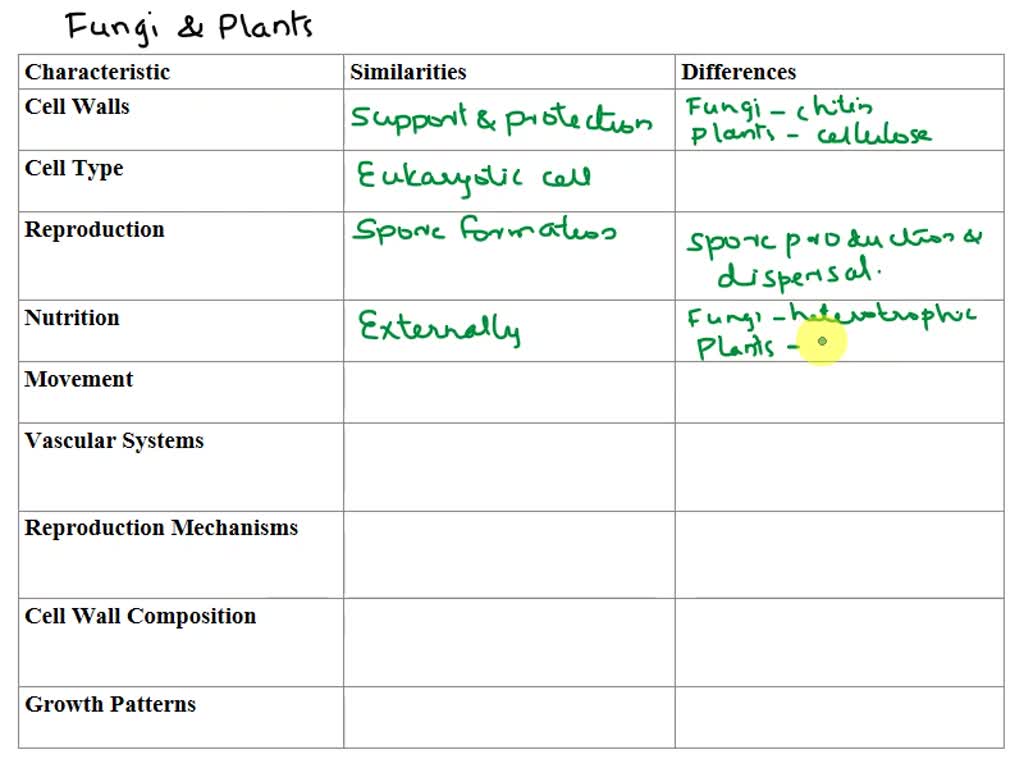 SOLVED: Similarities And Differences Between Fungi And Plants?