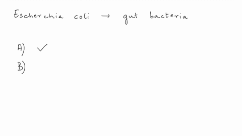 which-statement-regarding-escherichia-coli-is-false-e-coli-utilizes-secretion-systems-to-inject-its-proteins-into-host-cells-antibiotic-resistance-is-not-a-concern-with-e-coli-there-is-seaso-03682