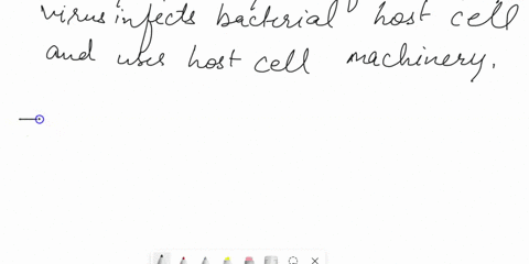 which-of-the-following-statements-is-true-regarding-the-lytic-cycle-of-a-bacteriophage-group-of-answer-choices-it-does-not-matter-whether-a-host-cell-is-in-a-nutrient-rich-environment-for-a-45706