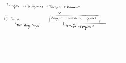 which-of-the-following-are-safe-havens-for-transposable-element-insertions-a-introns-b-exons-c-other-96094