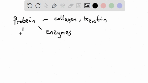 what-are-the-monomers-and-polymers-of-protein-58265