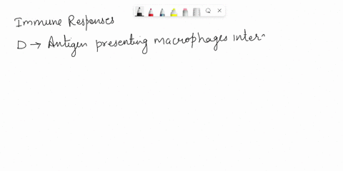 below-are-descriptions-of-different-steps-in-the-immune-response-each-description-has-an-associated-letter-use-the-letters-to-answer-the-questions-below-matching-each-question-with-the-best-03096