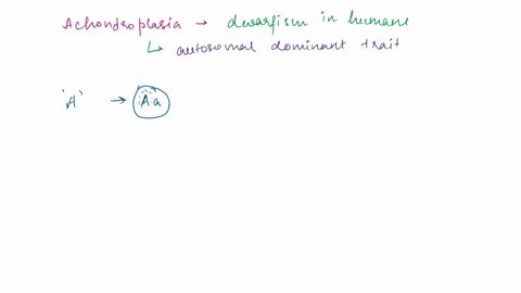 achondroplasia-is-a-common-cause-of-dwarfism-in-humans-all-individuals-with-achondroplasia-are-thought-to-be-heterozygous-at-the-locus-that-controls-this-trait-when-two-individuals-with-acho-82994