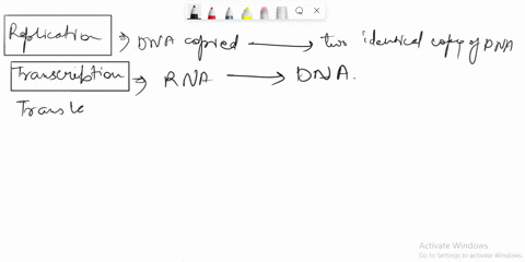 explain-the-differences-of-replication-transcription-translation-and-initiation-elongation-and-termination-in-terms-of-dna-process-27892