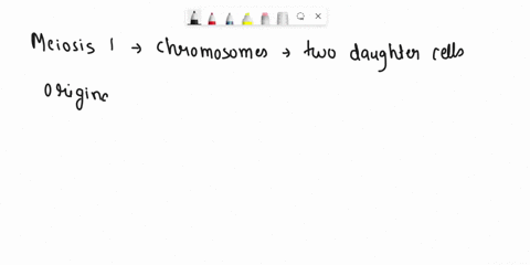 during-meiosis-how-many-chromosomes-are-found-in-each-cell-in-telophase-i-______-telophase-ii-________-20513