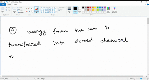 which-of-the-following-best-describes-the-flow-of-energy-in-photosynthesis-a-energy-from-the-sun-is-transferred-into-stored-chemical-energy-is-a-form-of-a-glucose-b-energy-from-the-sun-is-tr-64222