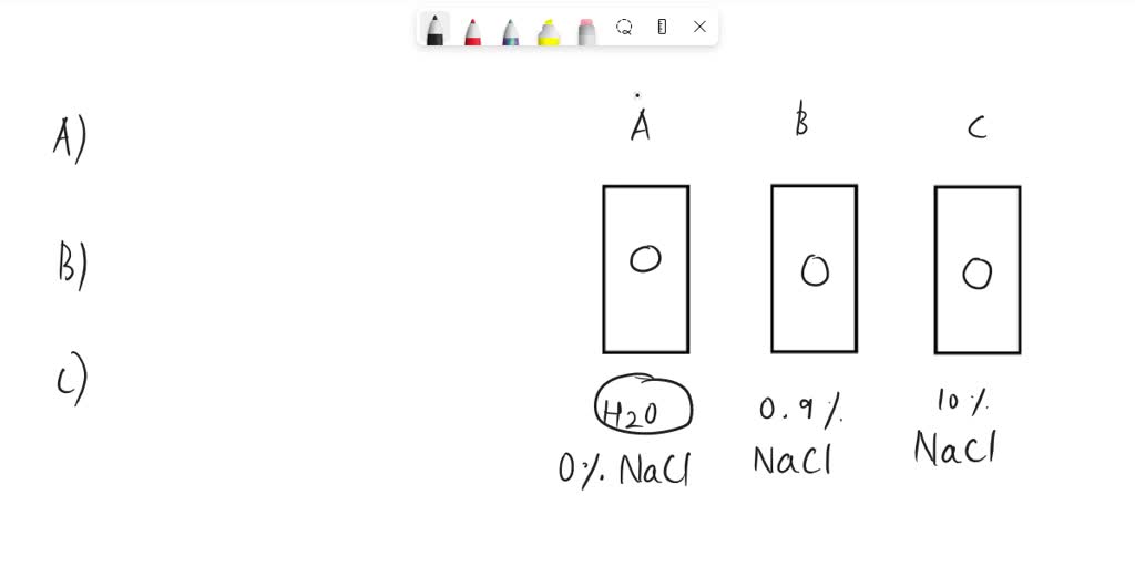 SOLVED: Diffusion and osmosis lab report. This experiment is pretty ...