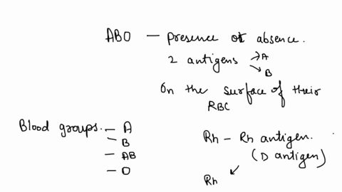 explain-what-determines-a-persons-abo-and-rh-bloodtypes-and-how-this-relates-to-transfusion-compatibility-26614
