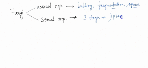 below-is-a-general-fungal-life-cycle-explain-how-fungi-can-complete-asexual-or-sexual-reproduction-and-what-would-be-the-benefit-of-each-haploid-n-heterokaryotic-diploid-2n-plasmogamy-fusion-70466