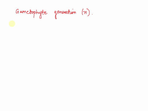 the-gametophyte-generation-in-angiosperms-is-contained-in-the-leaves-sporangium-cone_-flower-85048