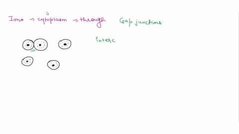question-30-ions-can-travel-directly-from-the-cytoplasm-of-one-animal-cell-to-the-cytoplasm-of-an-adjacent-cell-through-a-hemidesmosomes-b-none-of-these-answers-are-correct-cmicrotubules-d-d-61868