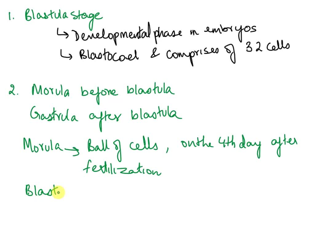 Solved a what stage of animal embryonic development is specific to