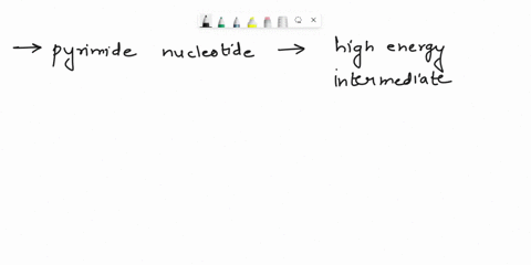 the-pyrimidine-nucleotide-acting-as-the-high-energy-intermediate-is-select-one-audpg-batp-ccmp-dutp-11614