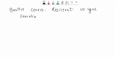 what-is-the-best-explanation-for-the-reason-bacillus-cereus-maro-resistant-to-uv-ilght-than-serratia-marcescens-bacillus-ic-eu-negative-bacillus-ccrrus-are-rod-shaped-bacterla-eacillus-cereu-78328