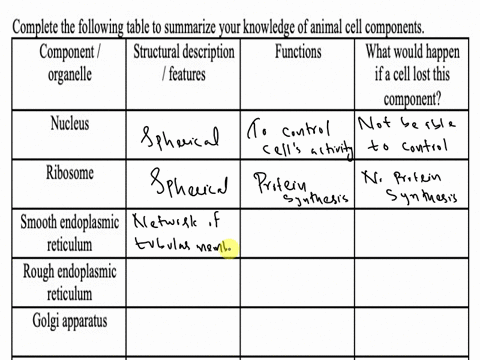 complete-the-following-table-to-summarize-your-knowledge-of-animal-cell-components-component-structural-description-functions-what-would-happen-organelle-features-ifa-cell-lost-this-componen-19287