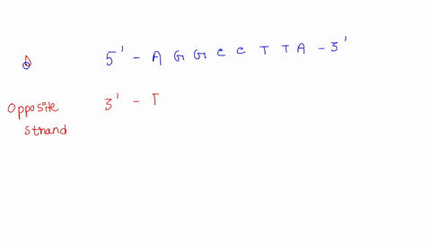 one-strand-of-dna-is-5-aggcctta-3-what-is-the-opposite-strand-17064