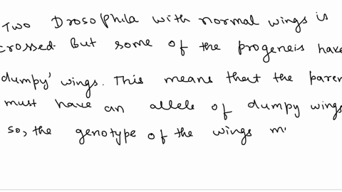 two-drosophila-with-normal-wings-are-crossed-among-123-progeny-88-have-normal-wild-type-wings-and-35-have-dumpy-wingsa-what-inheritance-pattern-is-shown-by-the-normal-and-dumpy-alleles-suppo-01989