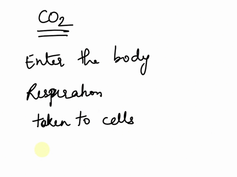 what-will-happen-with-the-co2-next-it-will-move-out-of-the-body-it-will-enter-the-blood-it-will-be-carried-to-cells-it-will-undergo-respiration-39257