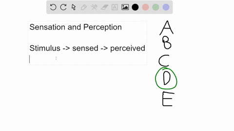 which-of-the-following-sentences-best-describes-the-relationship-between-sensation-and-perception-a-98263