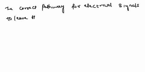 what-is-the-correct-pathway-for-electrical-signals-to-leave-the-retina-1-photoreceptors-2-bipolar-cells-3-optic-nerve-4-ganglion-cells-00714