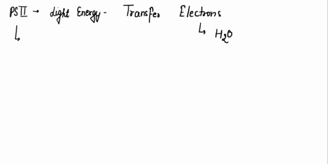 quesnon-3-plj-photosystem-ii-takes-electrons-from-water-energizes-them-and-passes-them-on-to-an-electron-transport-chain-uses-light-energy-to-transfer-electrons-to-water-takes-electrons-from-46524