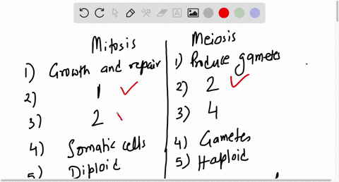 complete-the-chart-below-comparing-the-process-of-mitosis-to-meiosis