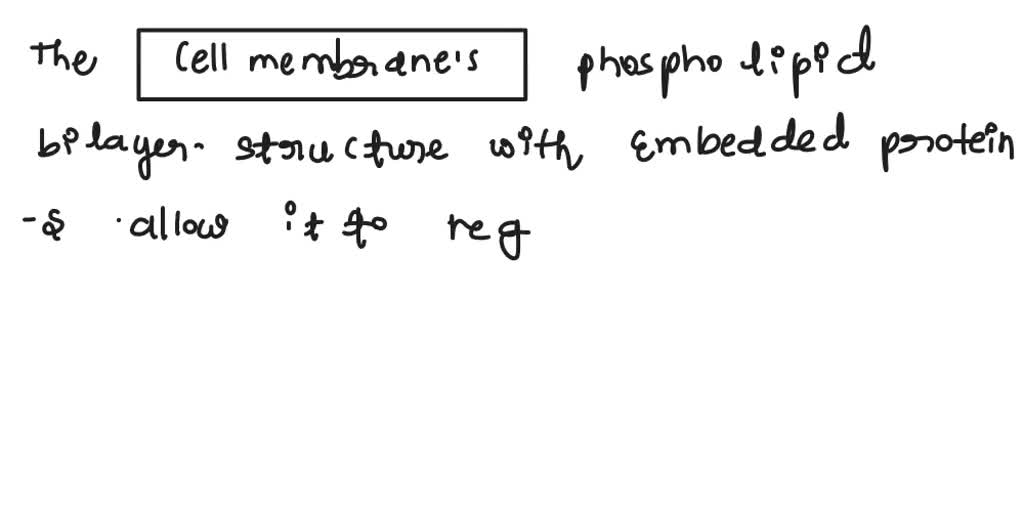 SOLVED: Don't not use AI How does the structure of a cell's membrane ...