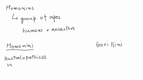 what-are-hominins-a-extinct-primates-belonging-to-the-genus-homo-b-a-group-of-apes-including-humans-that-are-more-closely-related-to-one-another-than-any-of-them-is-related-to-chimps-c-a-gro-61704