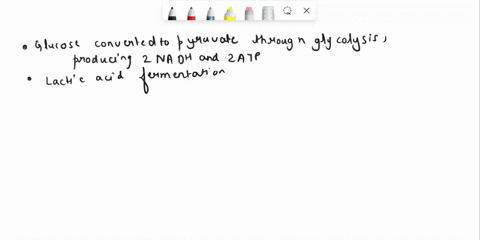 fermentation-alcohol-glucose-gnad-lactic-acid-glucose-jnad-nadh-jnadh-adp-adp-atp-atp-pyruvate-pyruvate-pyruvate-pyruvate-coz-co_-nadh-nadh-nad-nad-acetaldehyde-nadh-acetaldehyde-nadh-nad-na-51321
