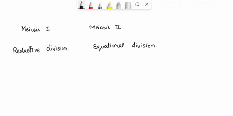 5-describe-the-major-differences-between-meiosis-i-and-meiosis-ii-primarily-as-it-relates-to-the-separation-of-chromosomes-as-cells-divide-6-explain-why-meiosis-leads-to-significant-genetic-37459
