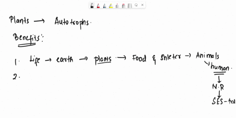 i-want-an-essay-on-the-benefits-of-plants-serious-answers-only-04853