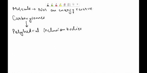 which-of-the-following-are-not-energy-reserves-a-lipid-inclusions-b-polysaccharide-granules-c-carboxysomes-d-metachromatic-granules-e-sulfur-granules-77782