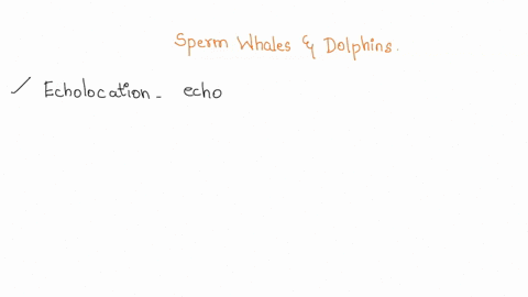 compare-echolocation-systems-in-sperm-whales-and-dolphins-evaluate-the-differences-and-similarities-between-the-two-systems-20803