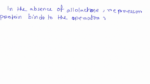 in-the-lac-operon_-the-repressor-binds-allolactose-and-binds-to-the-promoter-and-induces-iac-gene-expression-binds-to-allolactose-and-bocomes-active-blocking-lac-gene-expression-binds-to-the-41939