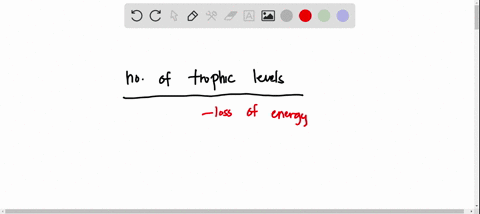 the-number-of-trophic-levels-in-an-ecosystem-is-limited-by-the-number-of-tertiary-consumers-the-loss-of-energy-with-each-transfer-between-trophic-levels-the-rate-at-which-organisms-can-recyc-70532