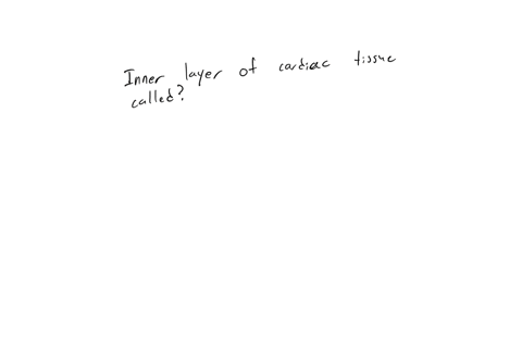 inner-layer-of-cardiac-tissues-is-called