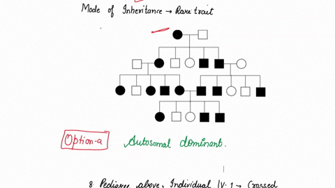 what-is-the-mode-of-inheritance-of-the-rare-trait-illustrated-in-the-pedigree-below-autosomal-dominant-x-linked-dominant-autosomal-recessive-x-linked-recessive-8-in-the-pedigree-above-indivi-51405