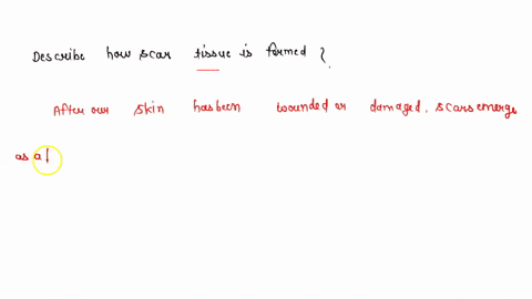 3-describe-how-scar-tissue-is-form-46228